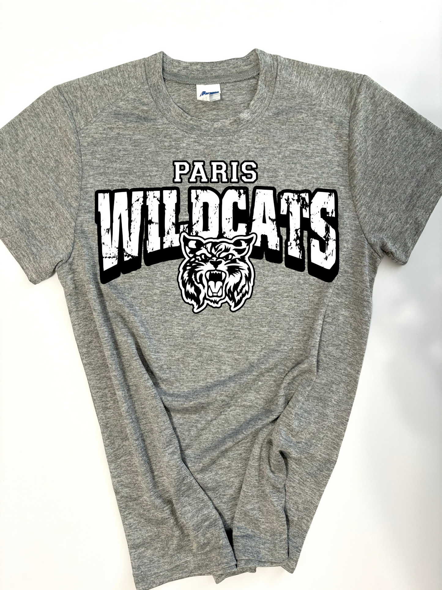 School Mascot DRI FIT